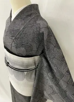 2025年最新】訪問着 正絹 未仕立て訪問着の人気アイテム - メルカリ