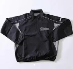 Item thumbnail for item f6b65259-6e30-4cb9-9ec5-2b73e2ecbce7