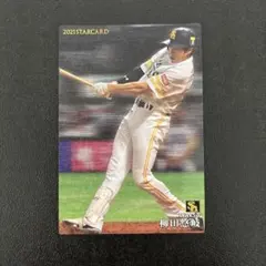 プロ野球チップス2021 第3弾　柳田稔岐　スターカード