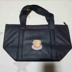 Item thumbnail for item 60b8b7a1-cc1e-41b7-91ef-9fe7b1c43724