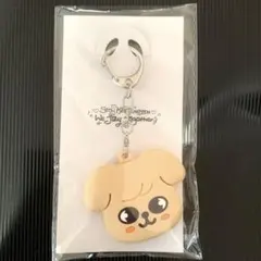2026年最新】グループ名：Stray Kids キーホルダーの人気アイテム