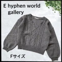 (B-598) E hyphen world gallery ニット グレー F