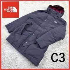 送料無料！ ノースフェイス レアカラー マウンテン ダウン パーカー ブルゾン