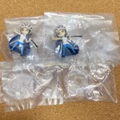 ワンピース ワンピの実 トラファルガーロー