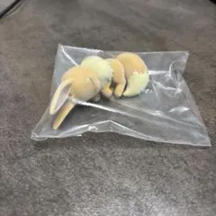 フィギュアコレクション Pokémon Sleep シアンの砂浜 イーブイ