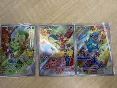 포켓몬 カード チコリータ・ワニノコ・ヒノアラシ 御三家 プロモ AR