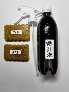 Item thumbnail for item c9b32bed-5687-45fd-8494-bef318225d09