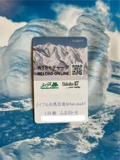 白馬47 ・エイブル白馬五竜 1日券 大人用 エイブル白馬五竜・Hakuba47 早割リフト1日券＜全日┃大人