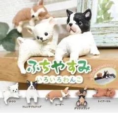ふちやすみ　〜いろいろわんこ〜　全5種類　コンプリートセット