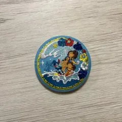 ディズニー 刺繍缶バッジ リロ・アンド・スティッチ
