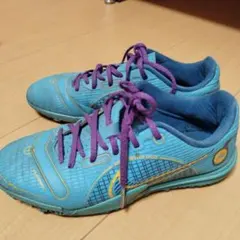 Item thumbnail for item b7e8a1c4-f205-454a-a066-ccc5206efb6f