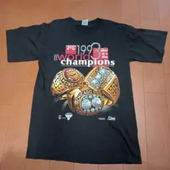 95-96シーズン シカゴブルズワールドチャンピオン記念額 限定品