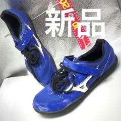 Mizuno オーダーメイドスパイクシューズ （跳躍種目用）27.0cm - メルカリ