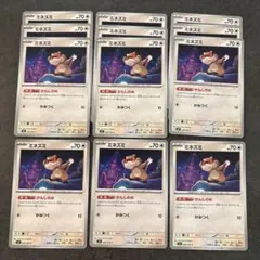 ミネズミ まとめ売り