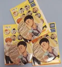 岩泉一　ハイキュー!!　カラパレ　より道 　缶バッジ