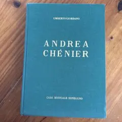 2026年最新】ANDREA CHENIERの人気アイテム - メルカリ