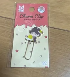 BTS ジョングク　チャームクリップ　タイニータン　スイートタイム