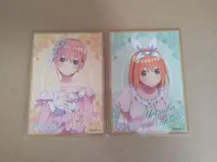 中野一花・四葉 色紙2枚セット