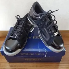 Item thumbnail for item e51c5fb2-f77a-4bb8-85c2-51ff76a4bcce