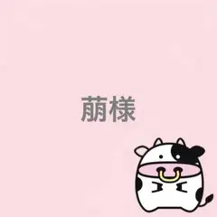 ⚠️速達⚠️ 萠様 リクエスト 3点 まとめ商品