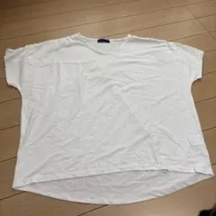 白　Tシャツ