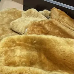 Item thumbnail for item 5aa903d2-7489-4fb1-a0d2-f228d4cdfb83