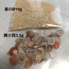 貝殻　微小貝　星の砂　詰め合わせ　　<K>