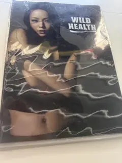 安室奈美恵　クリアファイル　新品未開封 新品未開封）安室奈美恵 クリアファイル WILD HEALTH コカ・コーラ