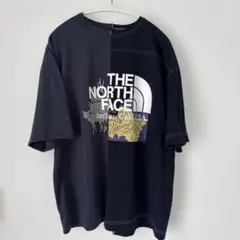 THE NORTH FACE ナナミカ　Tシャツ