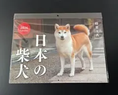 新品未開封　2026年 壁掛けカレンダー 日本の柴犬 蜂巣文香のサムネイル