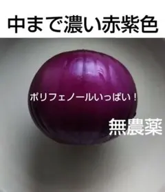F赤玉葱「中まで濃い赤紫色」＜無農薬・有機肥料・抗酸化作用＞正味１.２kg 以上のサムネイル