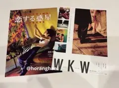 2026年最新】恋する惑星 パンフレットの人気アイテム - メルカリ