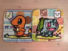 ポケモン　タオルハンカチ　ポケモンセンター限定　2枚セット