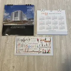 Item thumbnail for item cdc389ea-bbb0-4a3f-a6b6-e623eb2aa5c0