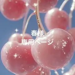 春様専用ページ ボタン付き 2点セット