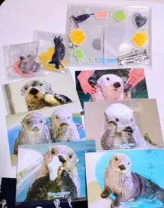 Item thumbnail for item c95caecc-6226-40e8-843a-01396f277146