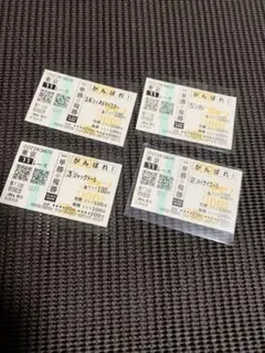 安田記念 2023 現地応援馬券 記念柄 ソダシ メイケイエール ジャックドール