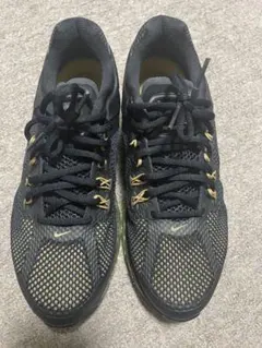 Nike Air Max ブラック/ゴールド