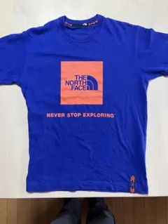 THE NORTH FACE Tシャツ ブルー　メンズL