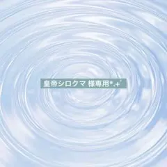 皇帝シロクマ 様専用❁⃘*.゜