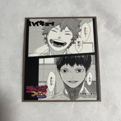 【未使用】ハイキュー 色紙 アニメイト ジャンプフェア特典 2025【匿名配送】