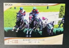 EPOCH ネビーイーム 阪神ジャンプステークス