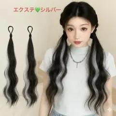 エクステ　簡単取り付け　2本組　ダンス　ヘアゴム付き　シルバー