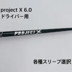 プロジェクトX5.5 5番からPW ※ロゴ消し - メルカリ