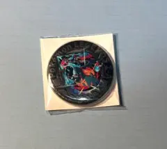 ポケモンレジェンズZA イオン 購入特典 メガリザードンX 金バッジ 缶バッジ