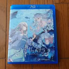 緋翼のクロスピース 1st Page はじまりの場所 Blu-ray - メルカリ