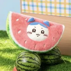 中国限定 MINISO ちいかわ フルーツ抱き枕 ハチワレ ①のサムネイル