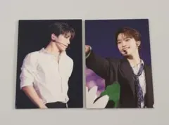 FOLLOW FELLOW IN JAPAN ランダム トレカ ディノ