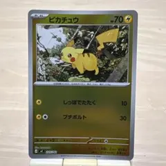 2026年最新】ピカチュウ しっぽでたたくの人気アイテム - メルカリ