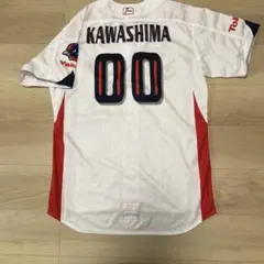 元ヤクルトスワローズ　田川賢吾選手　実使用ユニフォーム 元ヤクルトスワローズ 田川賢吾選手 実使用ユニフォーム